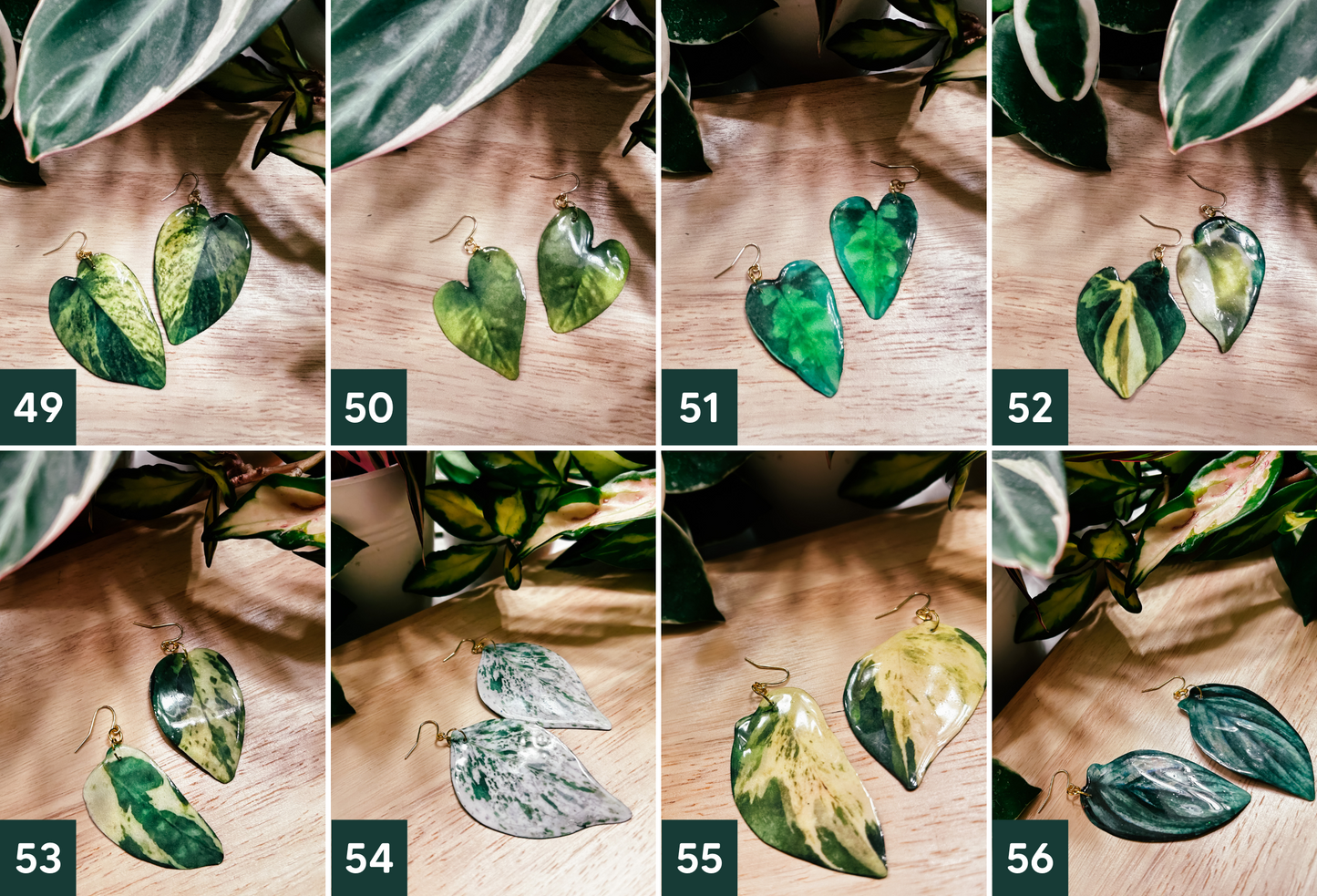 Houseplant Croc Charms