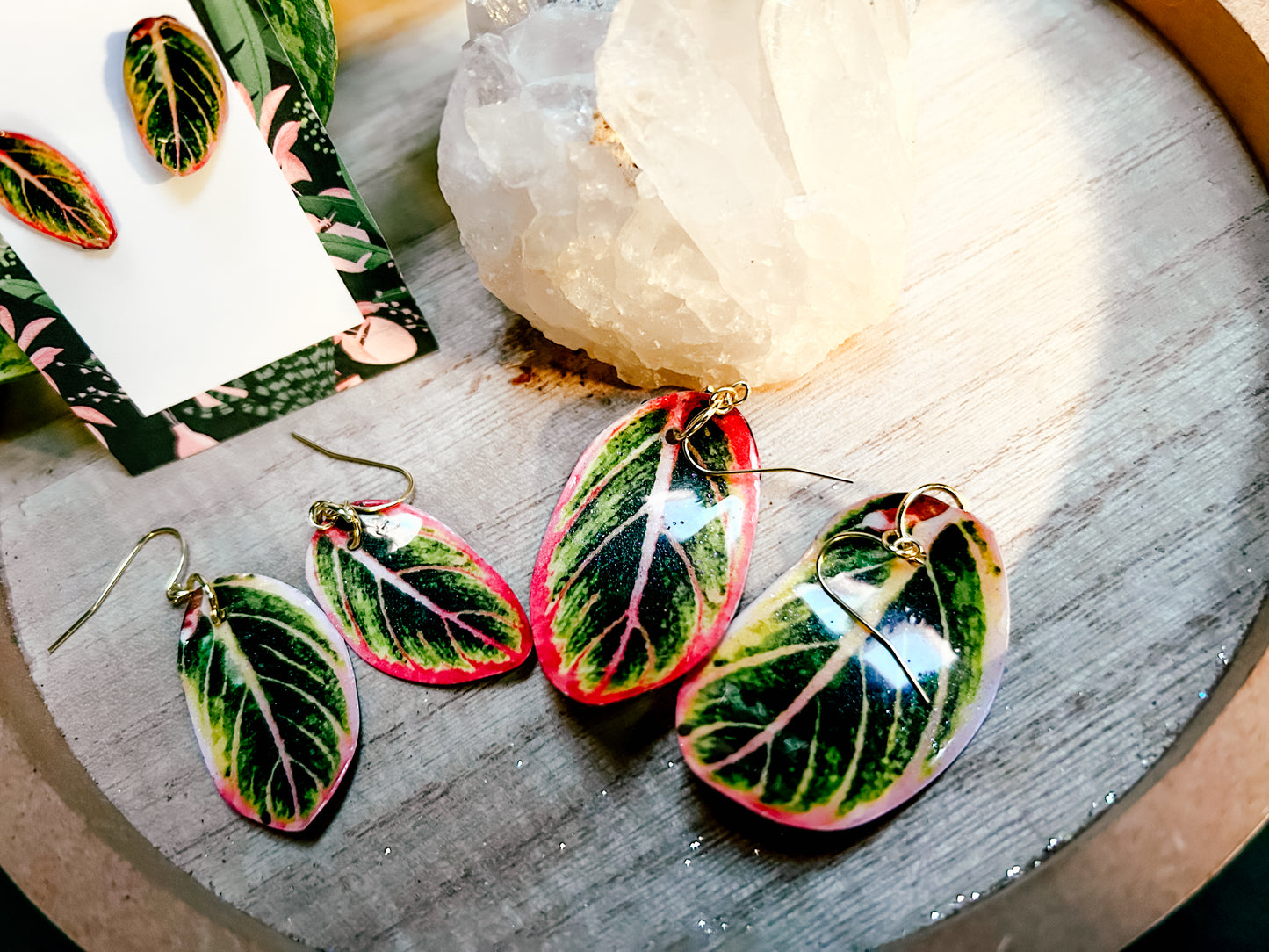 Aglaonema ‘Lotus Delight’