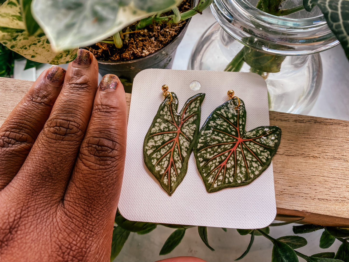 Caladium Leaf Mismatch