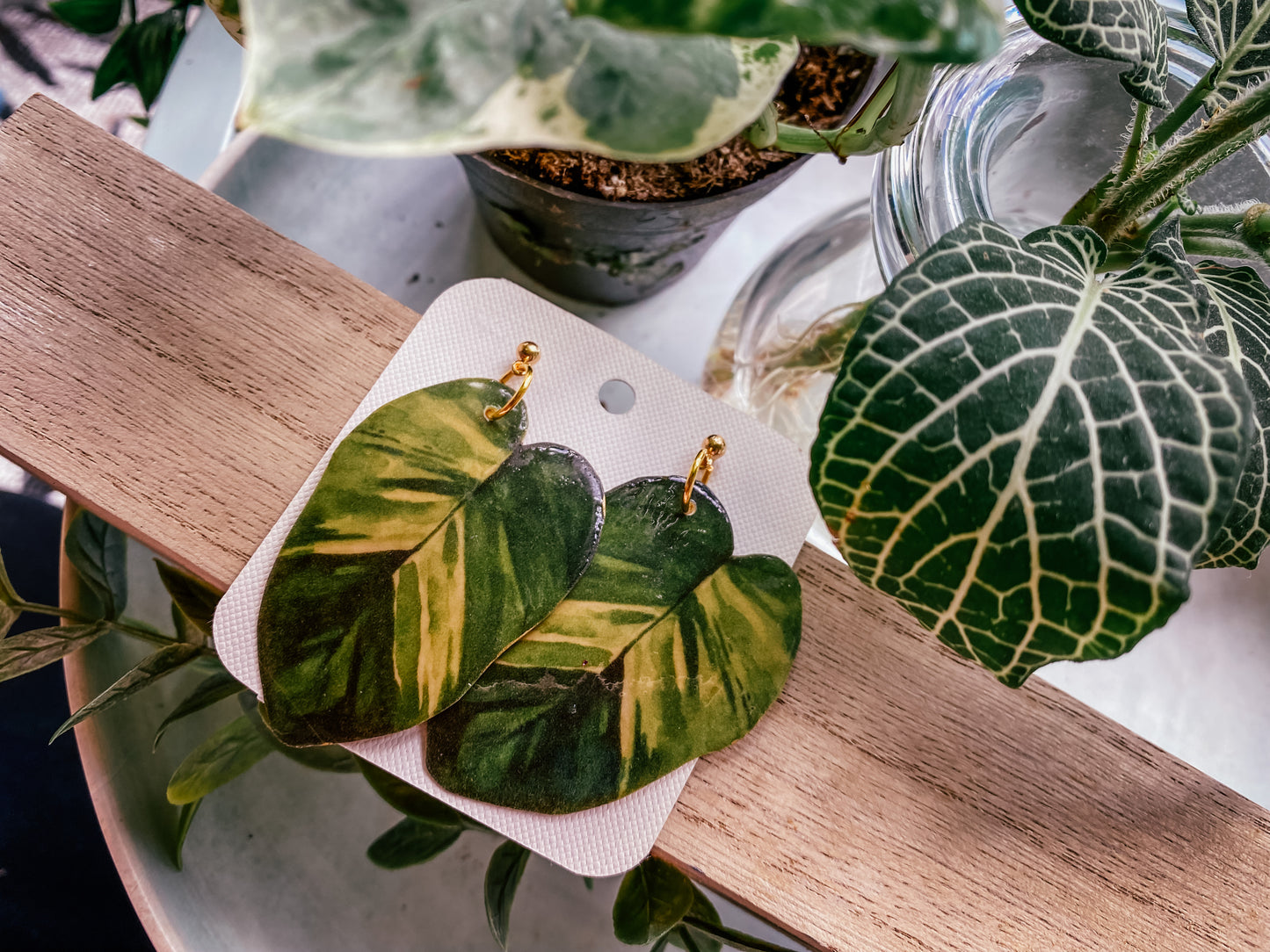 Golden Pothos (Epipremnum Aureum)