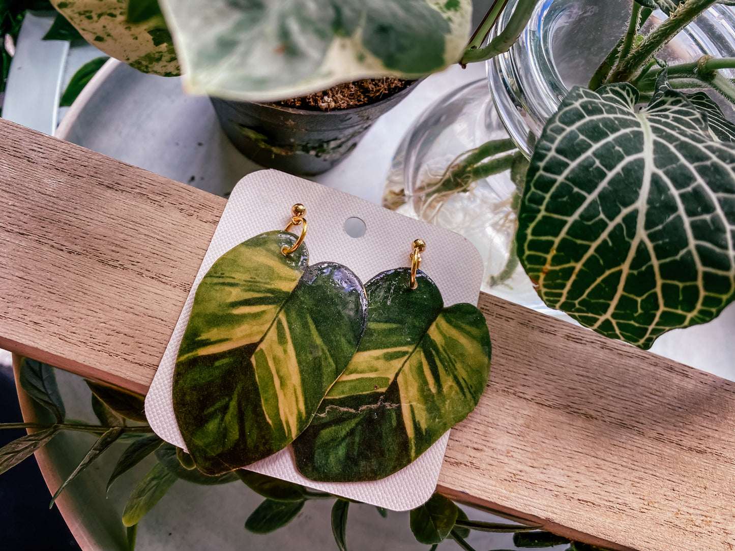 Golden Pothos (Epipremnum Aureum)