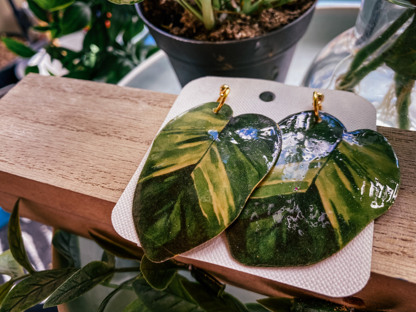 Golden Pothos (Epipremnum Aureum)