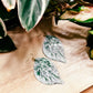 Snow Queen Pothos