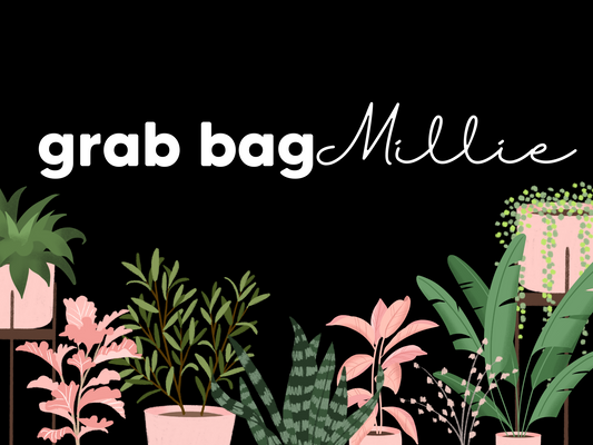 Grab Bag for Millie