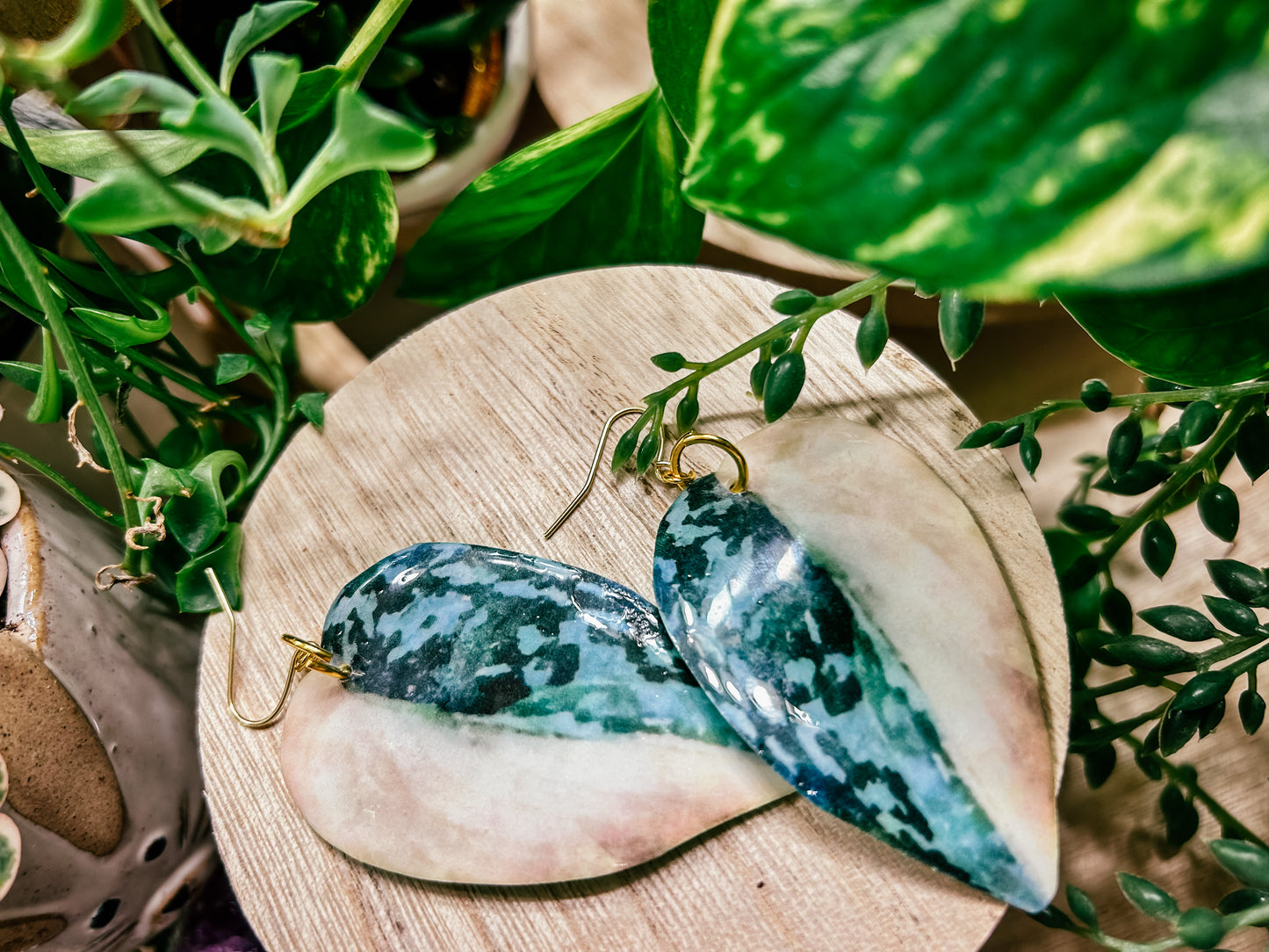 Variegated Scindapsus Exotica