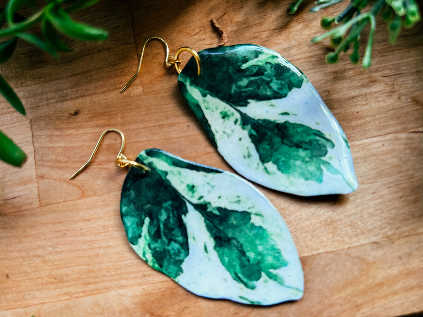 ‘Pearls and Jade’ Pothos