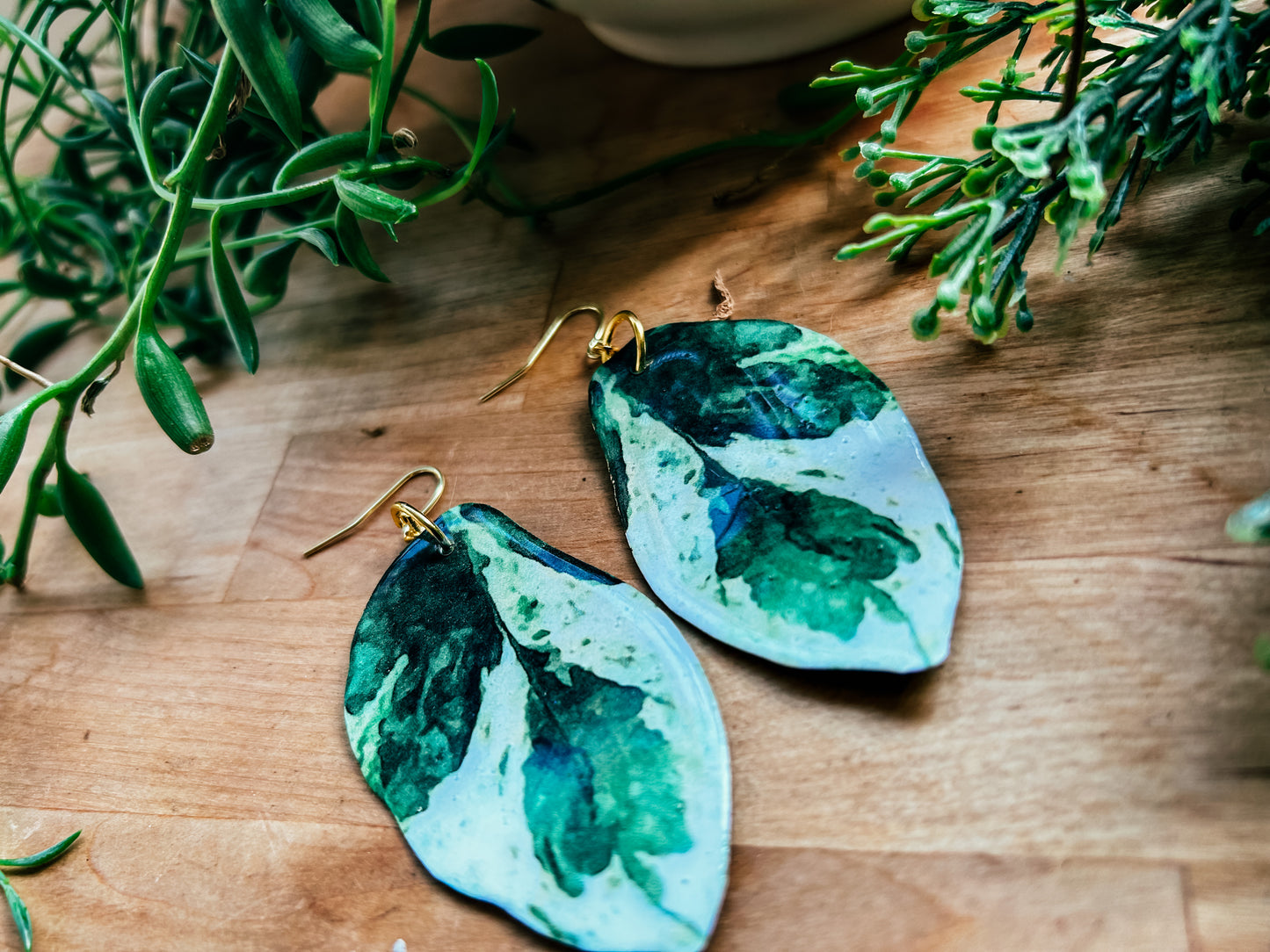 ‘Pearls and Jade’ Pothos