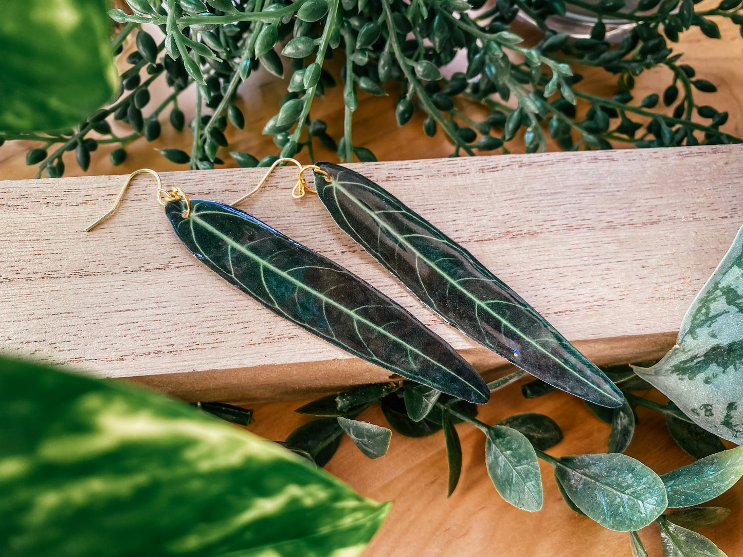 Anthurium Warocqueanum “Queen Anthurium”