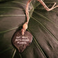 Plant Leaf Quote Decor