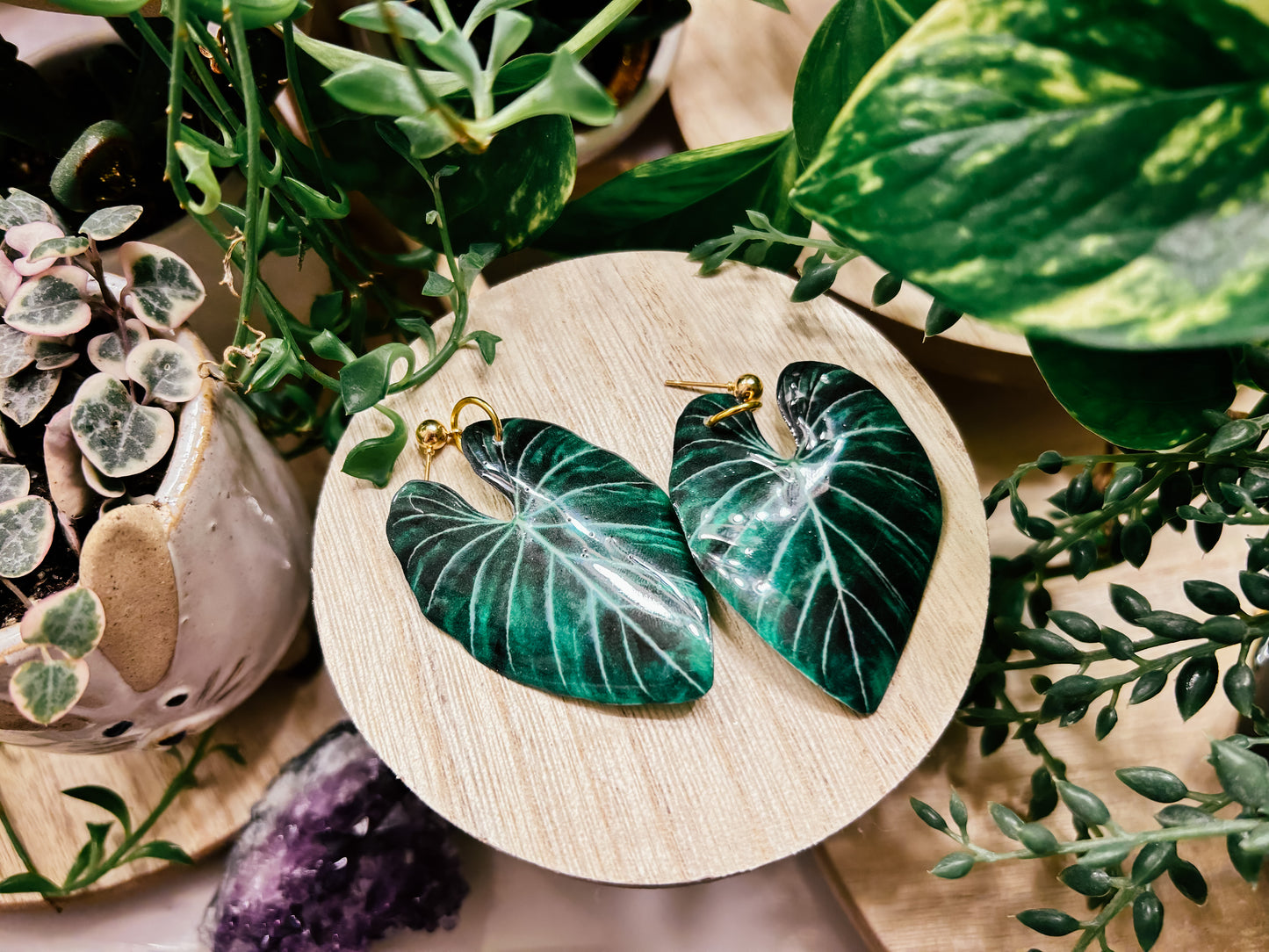 Gloriosum Large Form