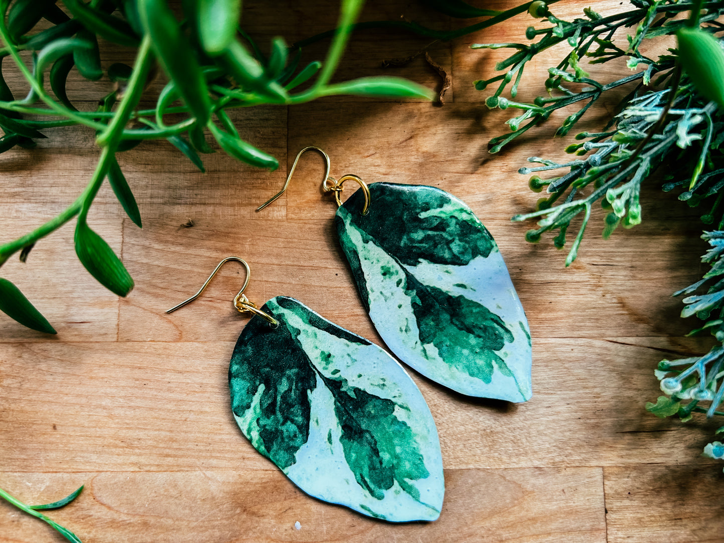 ‘Pearls and Jade’ Pothos