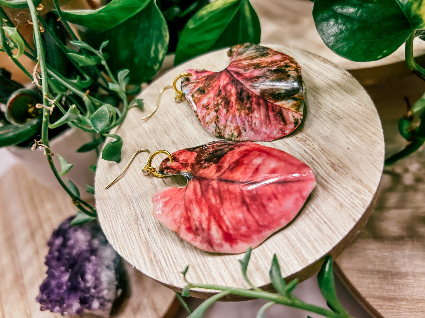 Syngonium ‘Strawberry Ice Galaxy’