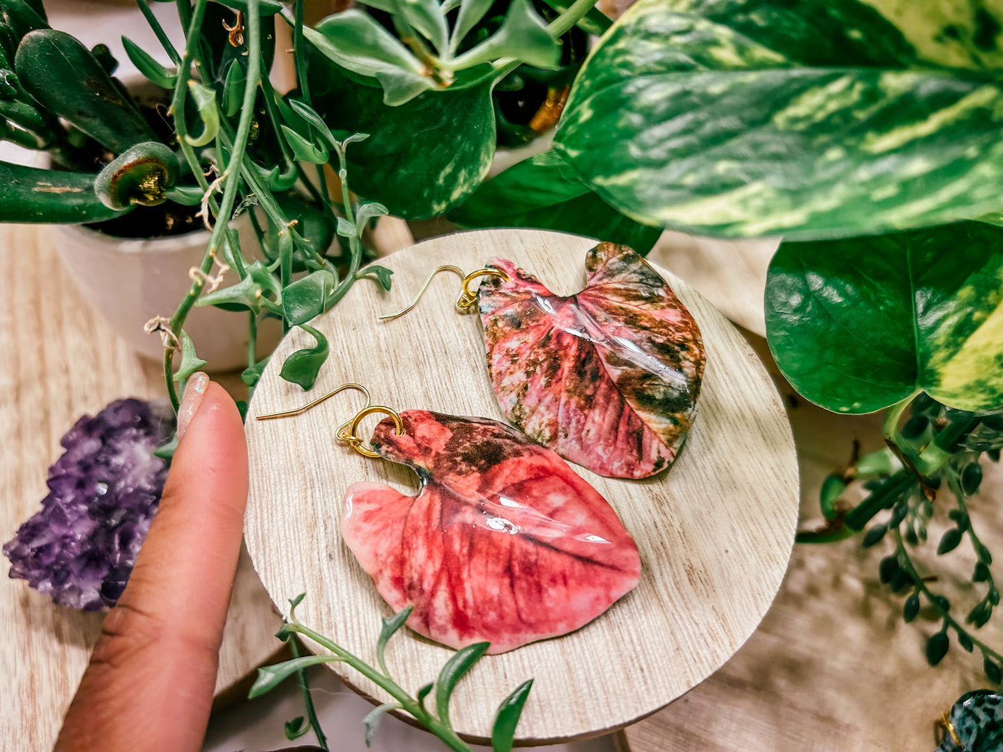 Syngonium ‘Strawberry Ice Galaxy’