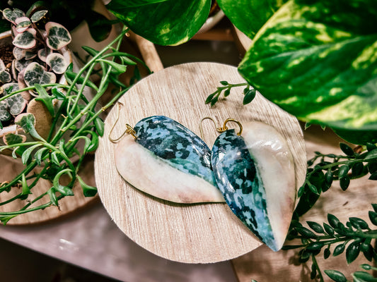 Variegated Scindapsus Exotica