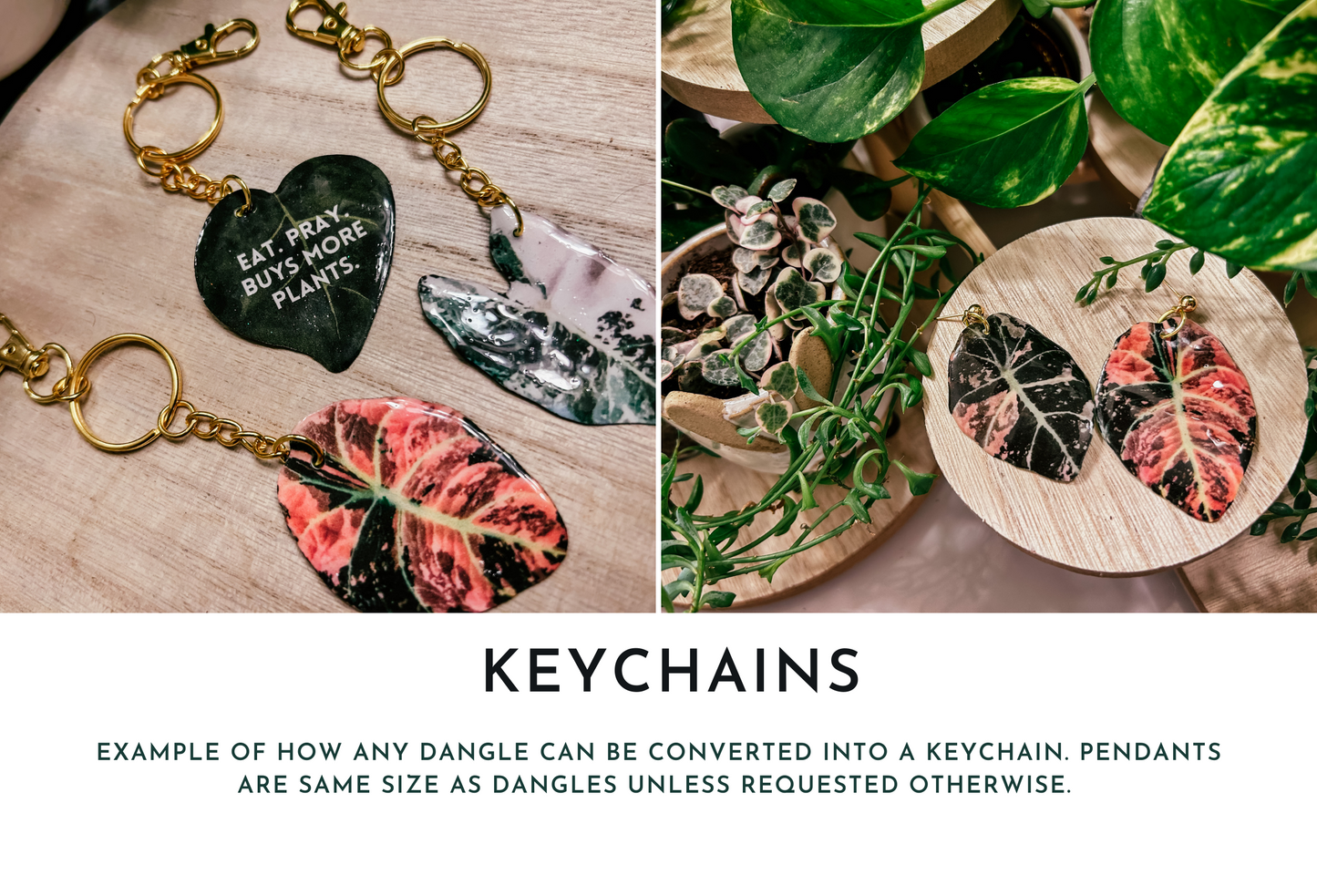 ‘Pearls and Jade’ Pothos