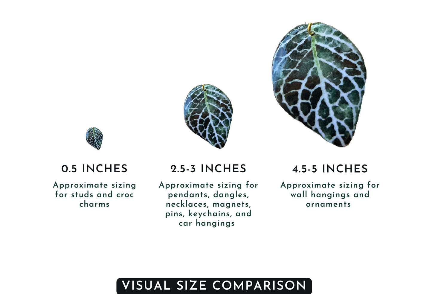 Variegated Rubber Plant